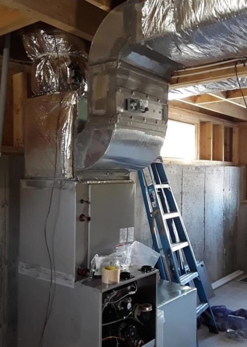 WhatsApp Image 2025-05-30 at 9.09.17 AM (3)